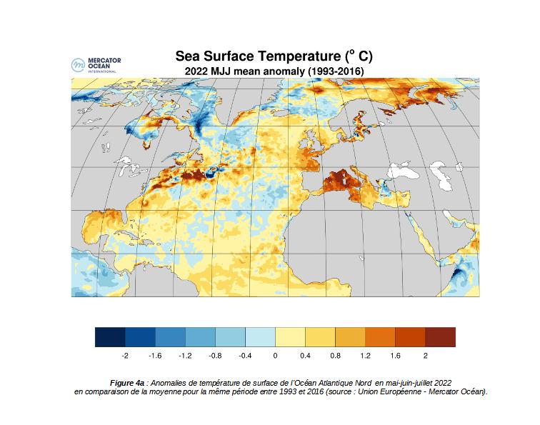 SST anomaly