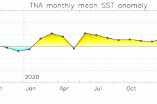 Nord de l’Océan Atlantique tropical, moyennes mensuelles des anomalies de température de surface de la mer  entre juillet 2019 et juillet 2021 (source : Union Européenne - Mercator Océan).