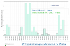 Pluviométrie à Le Raizet janvier 2021