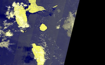 Télédetection sargasses