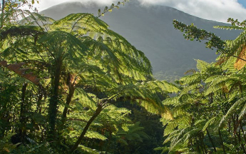 La soufrière vue du Carbet - mai 2023