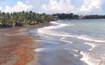 Plage de Capesterre Belle Eau du 20/09/2023