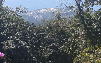 Paysage de la Basse-Terre