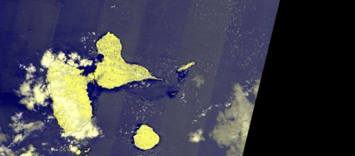 Télédetection sargasses