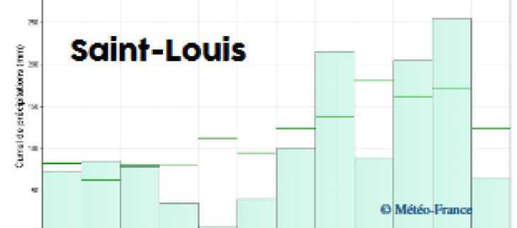 Histogrammes pluviométrique en 2020 à Saint-Louis