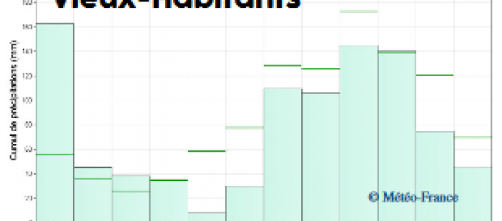 Histogrammes pluviométrique en 2020 à Vieux-Habitants