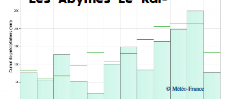 Histogrammes pluviométrique en 2020 à Les Abymes Le Raizet