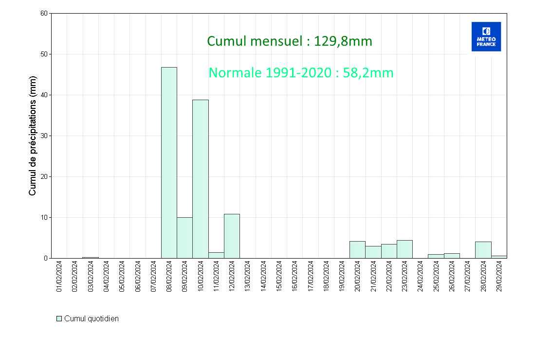 Précipitations quotidiennes à Les Abymes Le Raizet