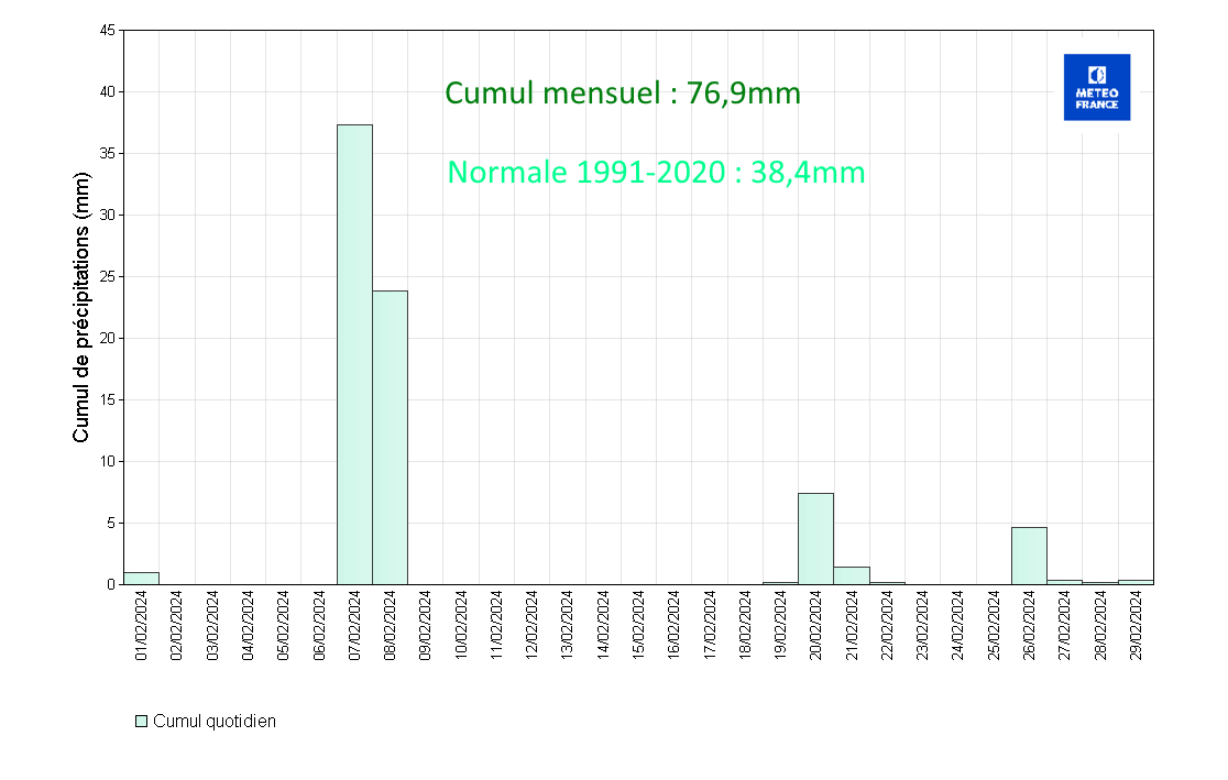 Précipitations quotidiennes à Saint-Barthélemy Gustavia