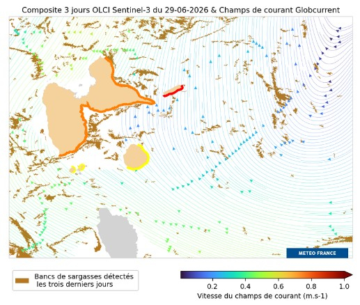 Composite 3jours OLCI & Champ de courant Globcurrent