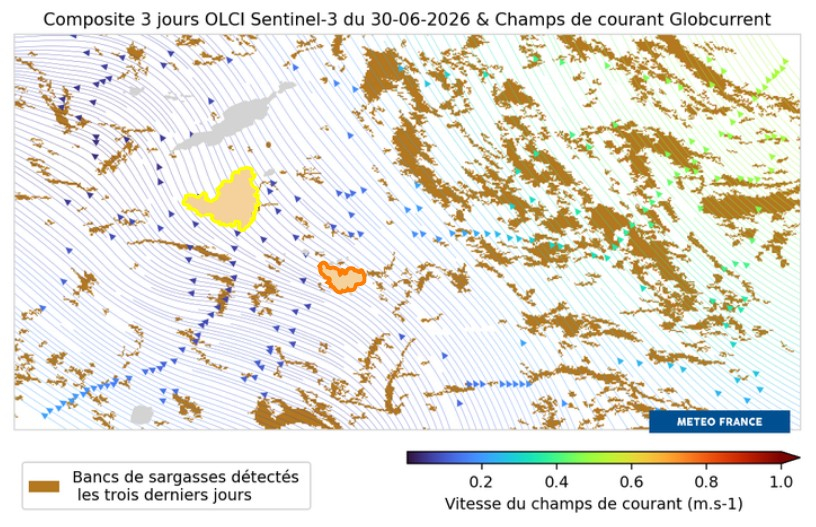 Composite 3jours OLCI & Champs de courant Globcurrent