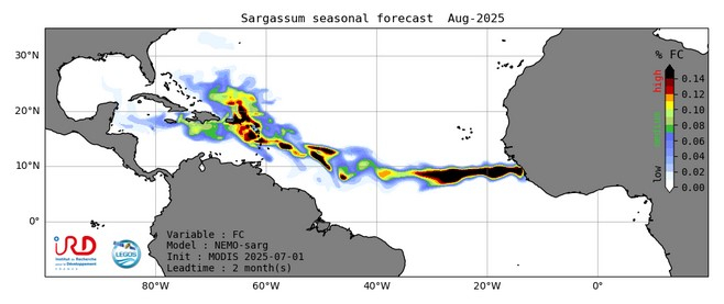 Prévision saisonnière des sargasses _ Aout 2025 _ IRD