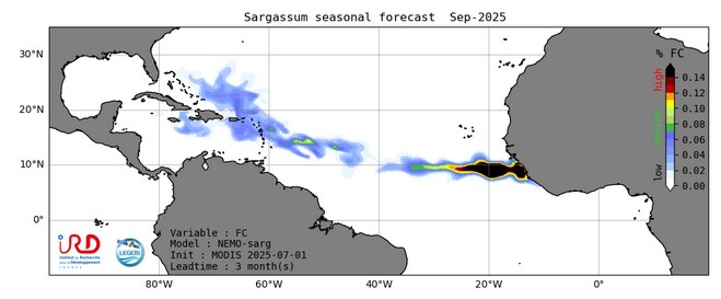 Prévision saisonnière des sargasses _ Sept 2025 _ IRD
