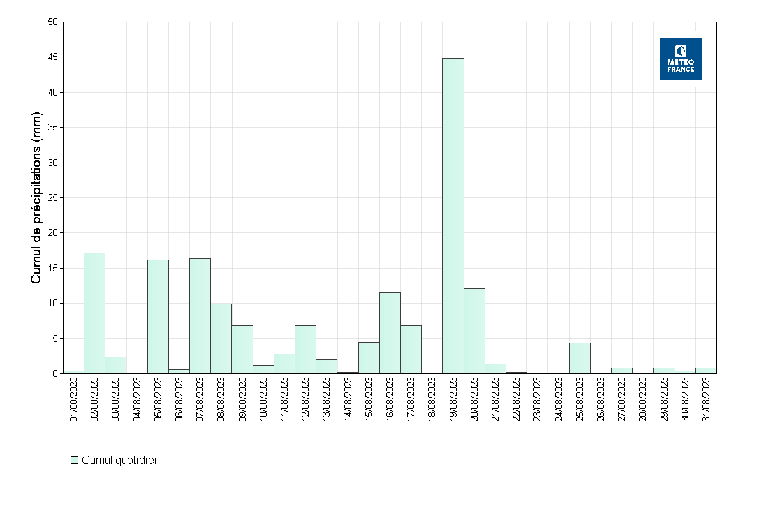 Précipitations quotidiennes à Les Abymes Le Raizet 