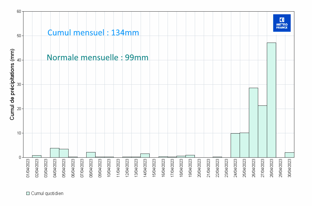 Précipitations quotidiennes à Les Abymes Le Raizet