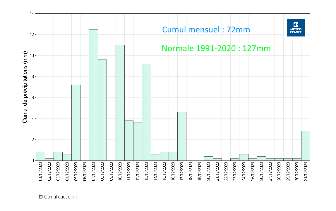 Précipitations quotidiennes à Les Abymes Le Raizet