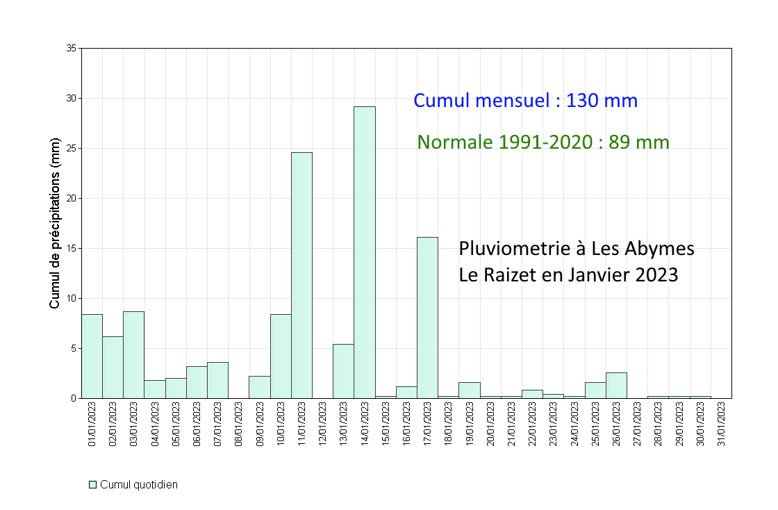 Précipitations quotidiennes à Les Abymes Le Raizet