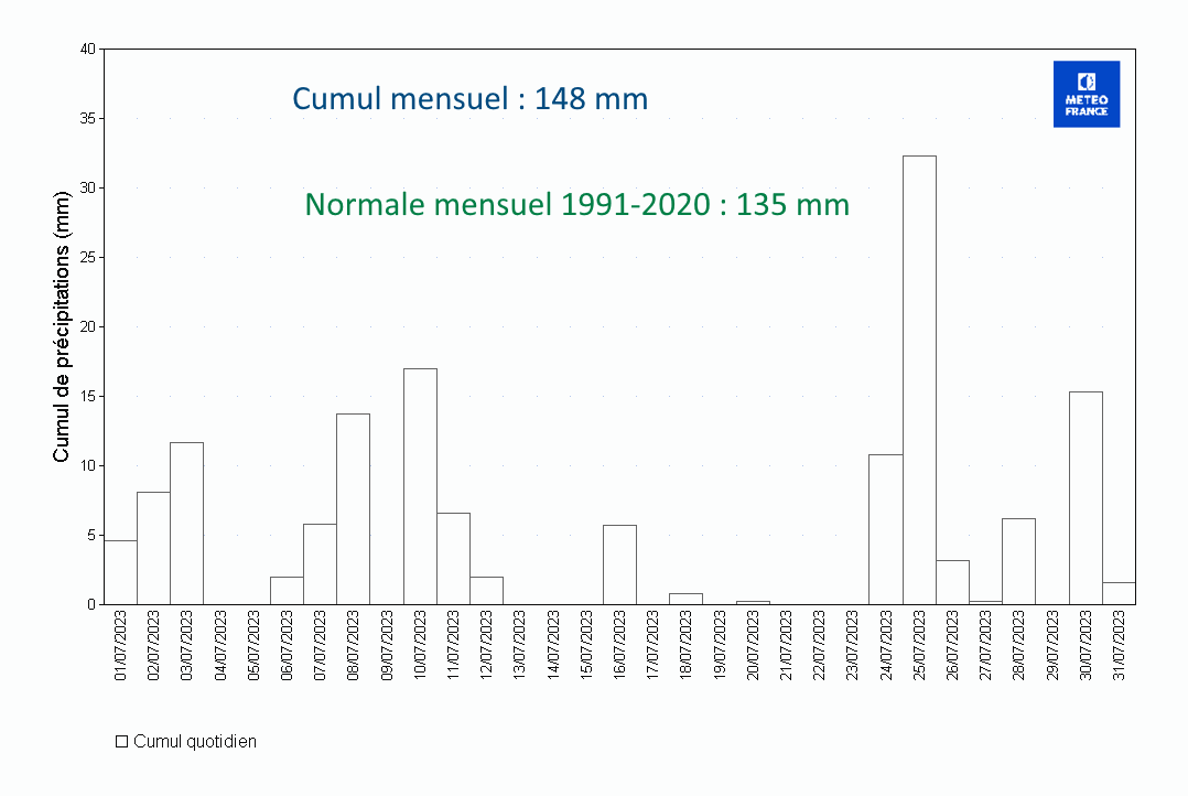 Précipitations quotidiennes à Les Abymes Le Raizet 