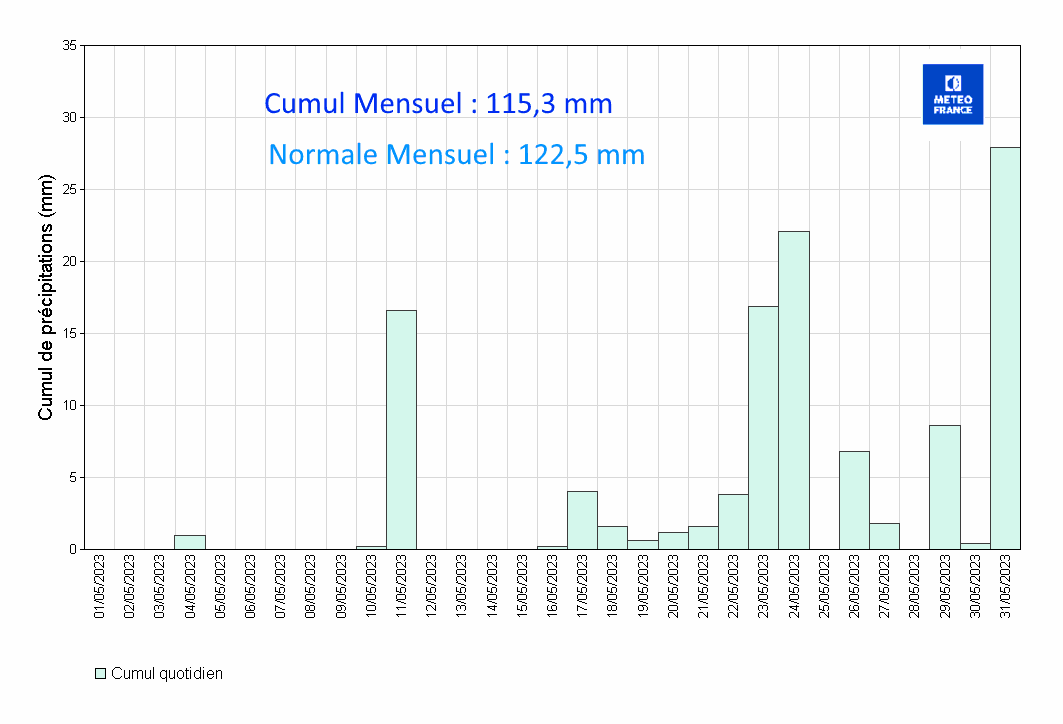 Précipitations quotidiennes à Les Abymes Le Raizet 