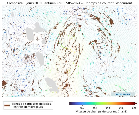 Moyenne des détections de sargasses du 15 au 17 mai 2024 - Champs de courant: Globcurrent