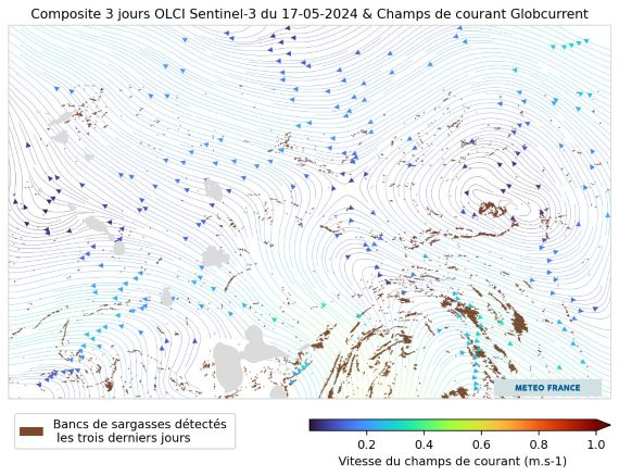 Moyenne des détections de sargasses du 15 au 17 mai 2024 - Champs de courant: Globcurrent