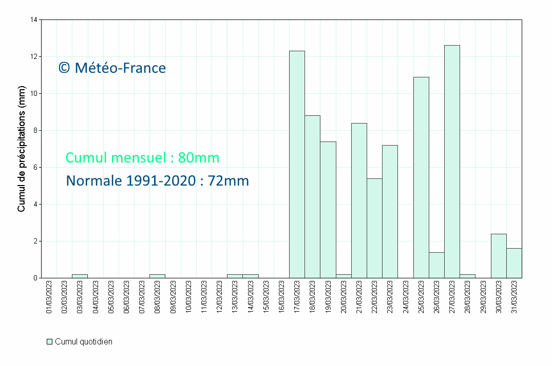 Précipitations quotidiennes à Les Abymes Le Raizet