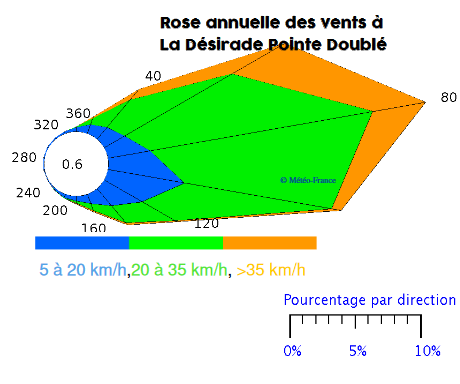 Rose annuelle des vents à La Désirade Pointe Doublé 