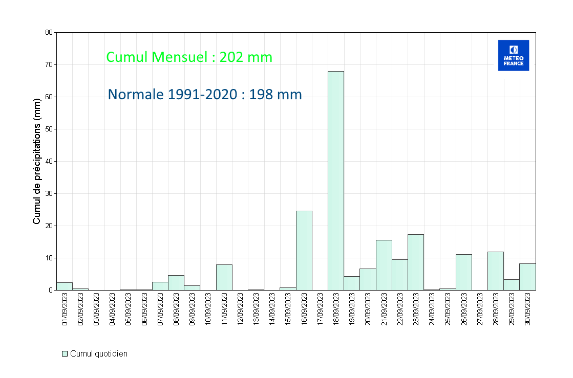 Précipitations quotidiennes à Les Abymes Le Raizet 