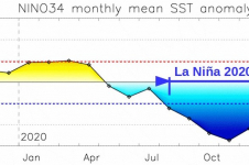 NINO3.4 monthly mean SST anomaly
