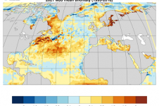 Anomalies de température de surface de l'Océan Atlantique Nord  en mai-juin-juillet 2021 en comparaison de la moyenne pour la même période entre 1993 et 2016  (source : Union Européenne - Mercator Océan).