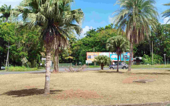 Septembre très sec au Raizet