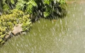 La pluie sur une rivière de Guadeloupe 