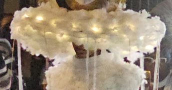 BULLETIN CLIMATIQUE MENSUEL - FEVRIER 2026