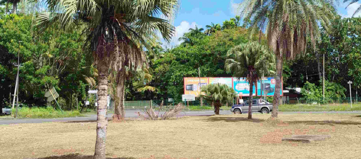 Septembre très sec au Raizet