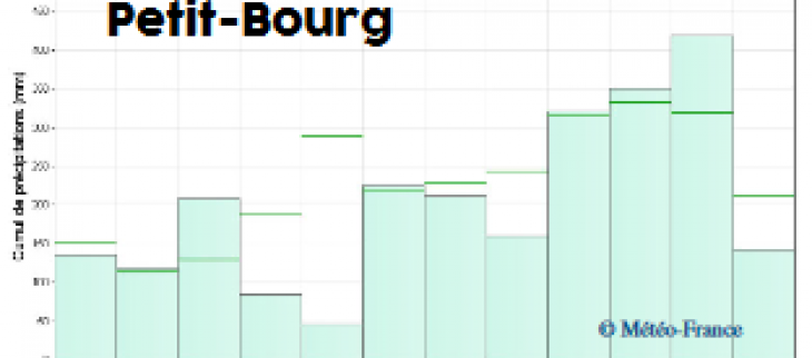 Histogrammes pluviométrique en 2020 à Petit-Bourg