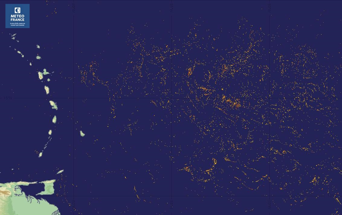 VERS LE D BUT DE LA SAISON 2024 DES SARGASSES EN GUADELOUPE Par M T O   Composite3j Atlantique 0502204 Redux 