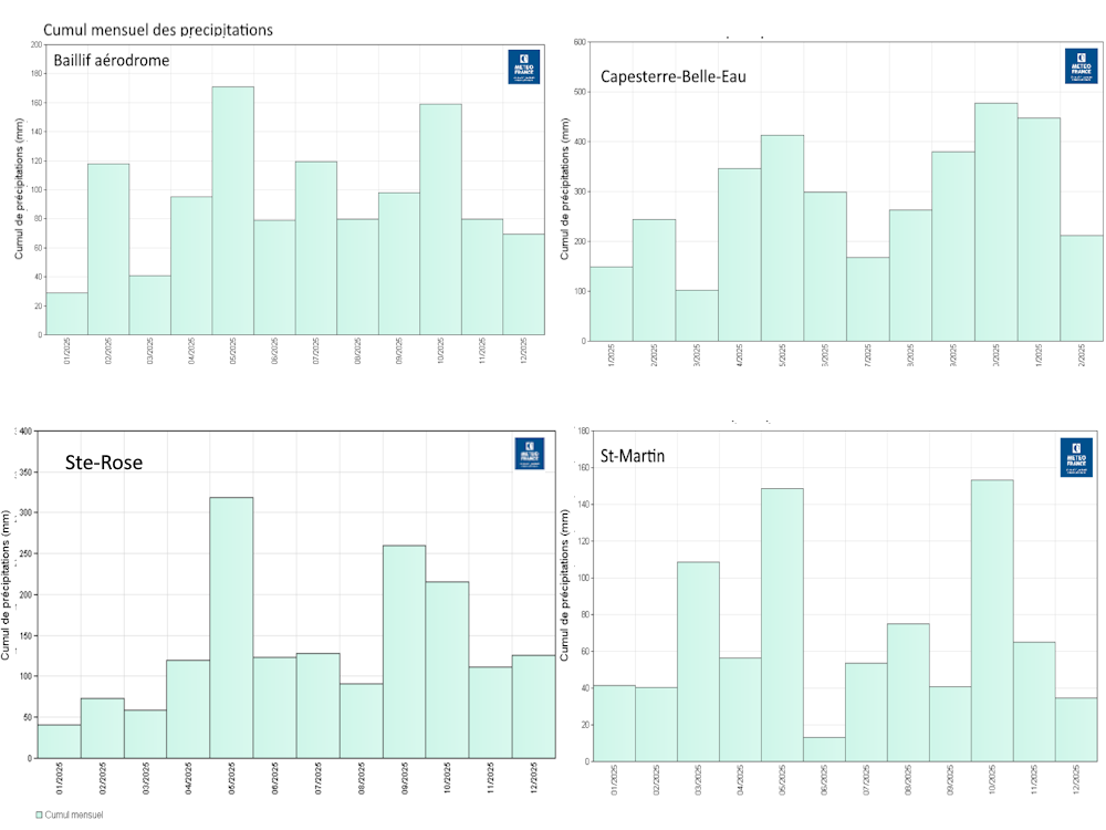 Précipitations mensuelles en Basse-Terre et îles du Nord en 2025